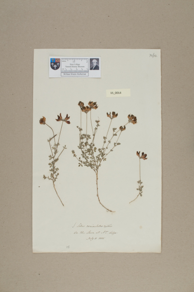 NHM_HH_15.14-2010 image NHM_HH_15.14-2010