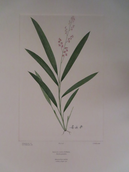 FDA-E.2916_15_25-2016-A image FDA-E.2916_15_25-2016-A