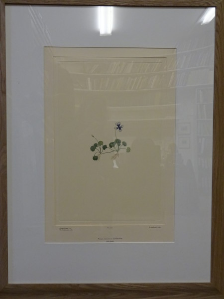 FDA-E.2916_1_11-2016 image FDA-E.2916_1_11-2016