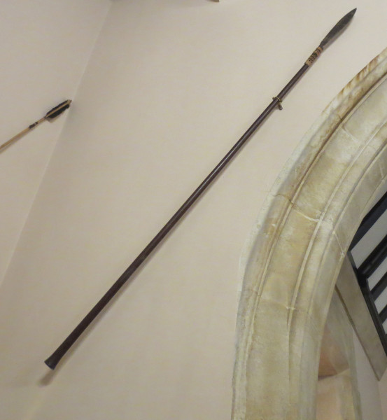 NHM-HT.136-2014 image NHM-HT.136-2014