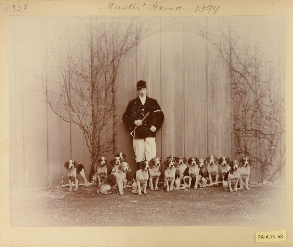 PA-A.73_68-2013 image PA-A.73_68-2013