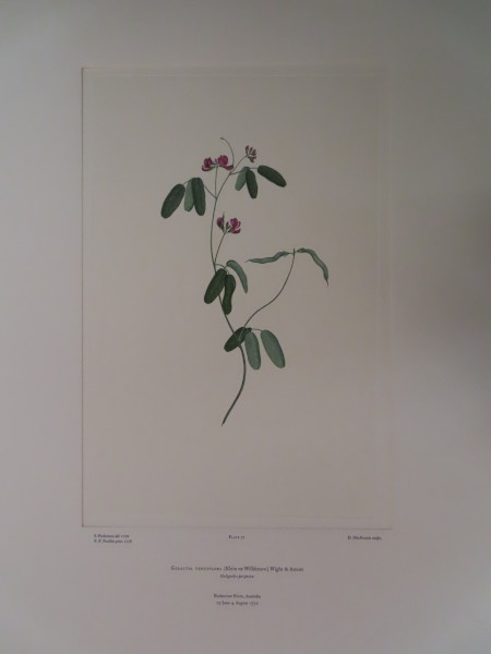 FDA-E.2916_4_13-2016-A image FDA-E.2916_4_13-2016-A