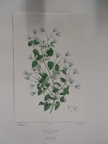 FDA-E.2916_20_4-2016-A image FDA-E.2916_20_4-2016-A