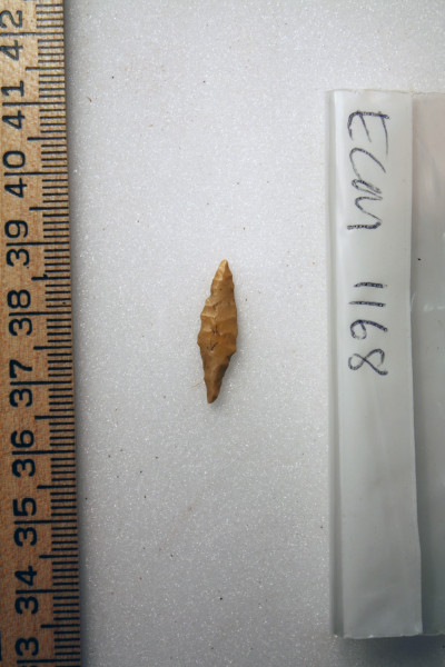 ECM.1168-2010-A image ECM.1168-2010-A