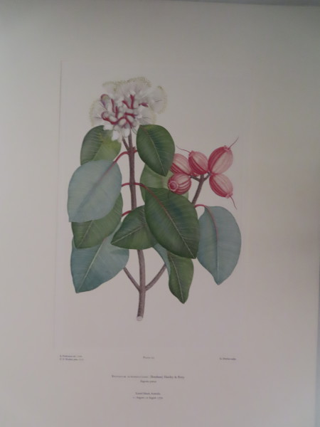 image FDA-E.2916_6_16-2016-A