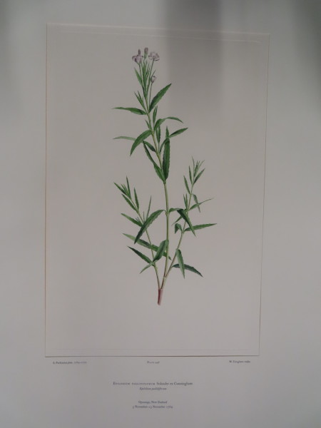 image FDA-E.2916_22_5-2016-A