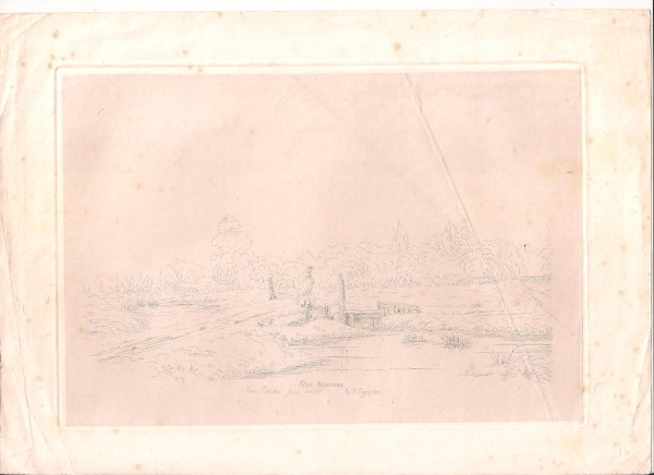 FDA-E.3155-2020 image FDA-E.3155-2020