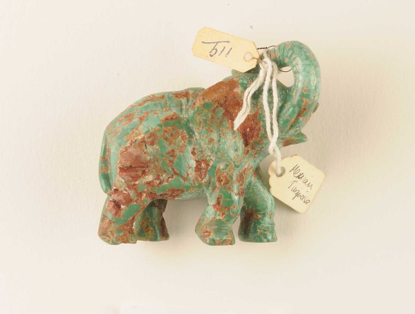 NHM-EE.99-2015 image NHM-EE.99-2015