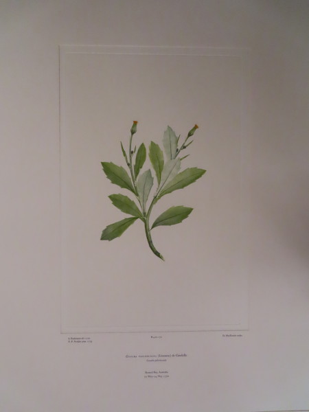 image FDA-E.2916_8_16-2016-A