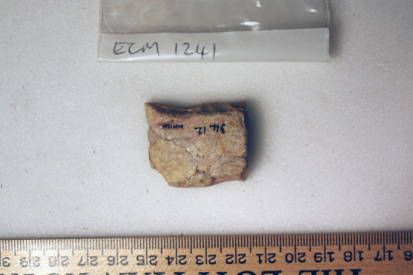 ECM.1241-2010-B image ECM.1241-2010-B