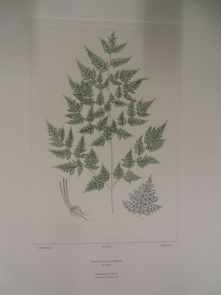 FDA-E.2916_27_12-2016-A image FDA-E.2916_27_12-2016-A