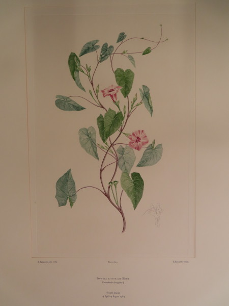 FDA-E.2916_30_4-2016 image FDA-E.2916_30_4-2016