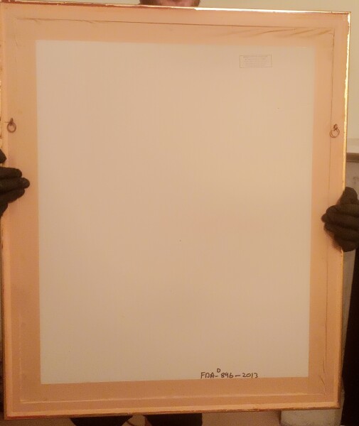 image FDA-D.896-2013-A