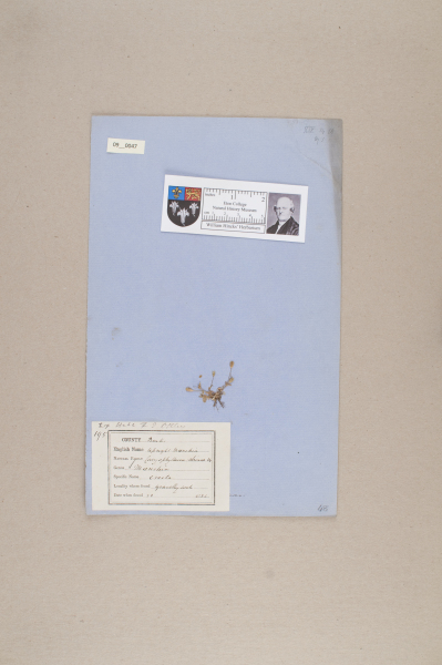 NHM_HH_9.47-2010 image NHM_HH_9.47-2010