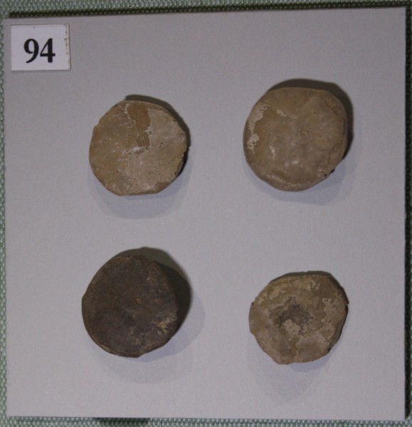 NHM.555-2017 image NHM.555-2017