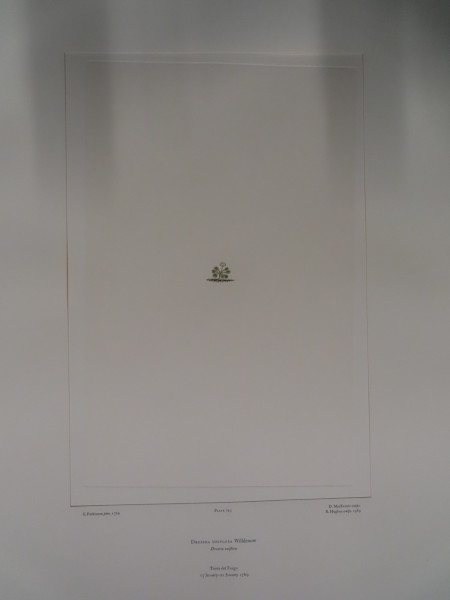 image FDA-E.2916_35_8-2016