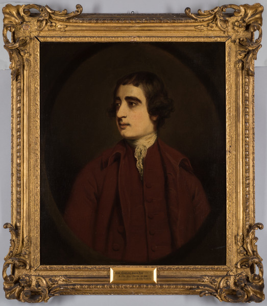 FDA-P.41-2010-cr image FDA-P.41-2010-cr