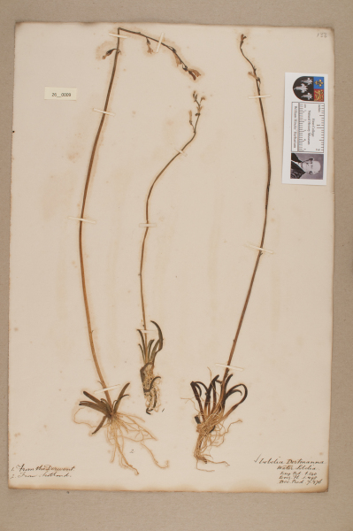 NHM_HH_26.9-2010 image NHM_HH_26.9-2010