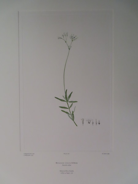 image FDA-E.2916_10_17-2016-A