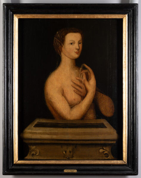 image FDA-P.114-2010-cr