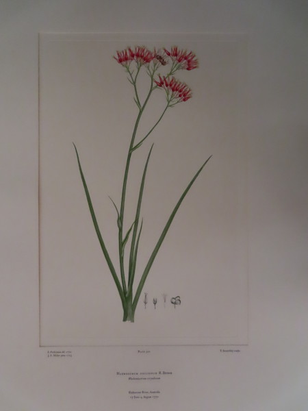 FDA-E.2916_15_8-2016-A image FDA-E.2916_15_8-2016-A