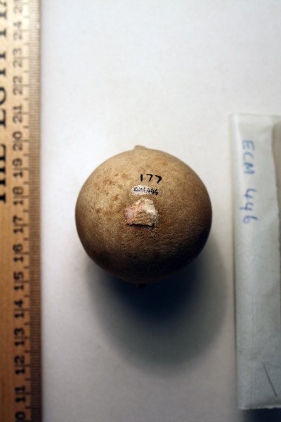 ECM.446-2010-D image ECM.446-2010-D