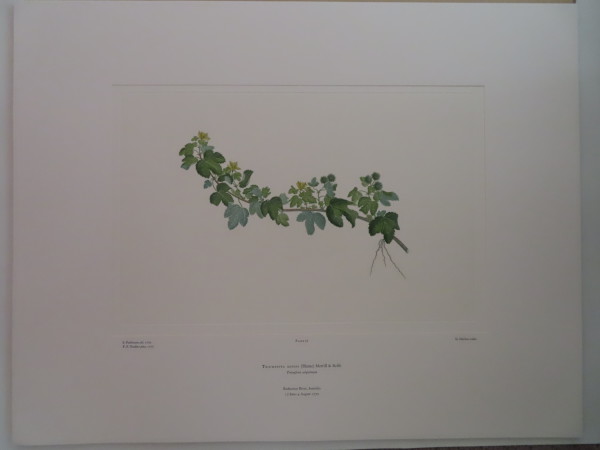 FDA-E.2916_2_7-2016 image FDA-E.2916_2_7-2016