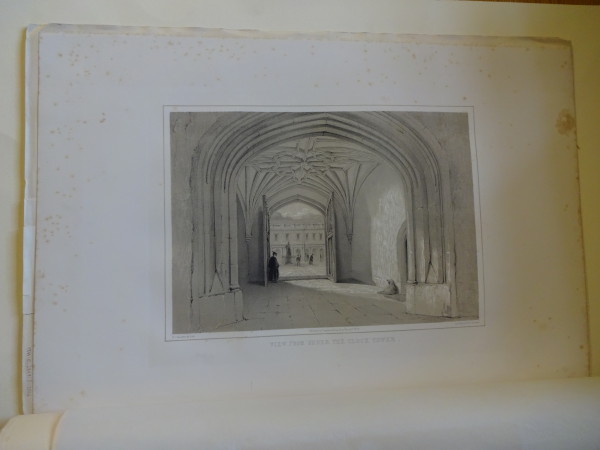 FDA-E.2849_6-2016 image FDA-E.2849_6-2016