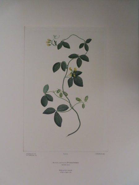 FDA-E.2916_4_18-2016-A image FDA-E.2916_4_18-2016-A