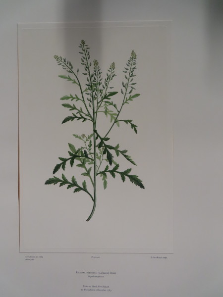 image FDA-E.2916_20_9-2016-A