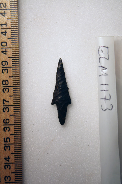 ECM.1173-2010-A image ECM.1173-2010-A