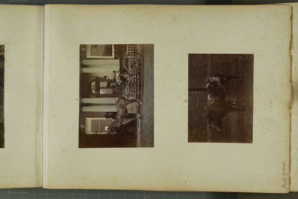 PA-A.81_63-2024 image PA-A.81_63-2024