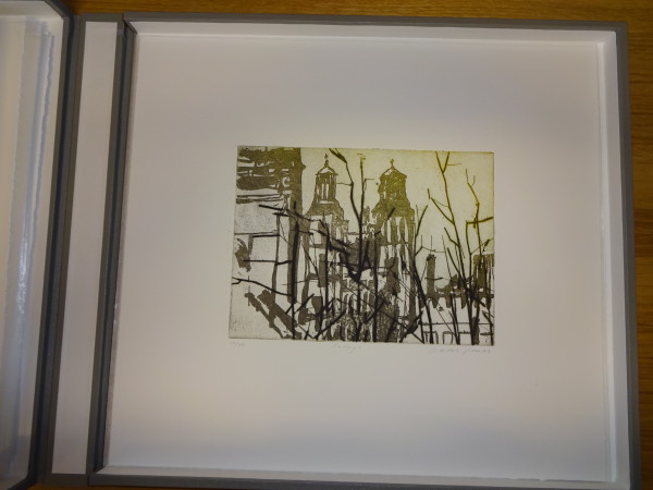 FDA-E.2958_16-2017 image FDA-E.2958_16-2017