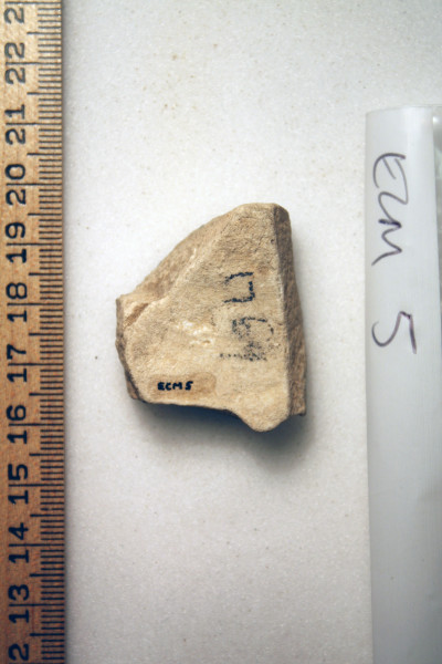 ECM.5-2010-B image ECM.5-2010-B