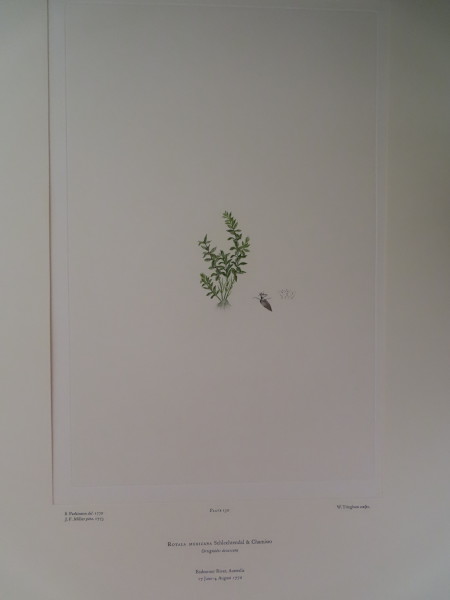 FDA-E.2916_6_21-2016 image FDA-E.2916_6_21-2016