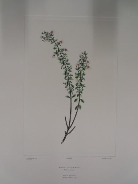 FDA-E.2916_25_10-2016 image FDA-E.2916_25_10-2016