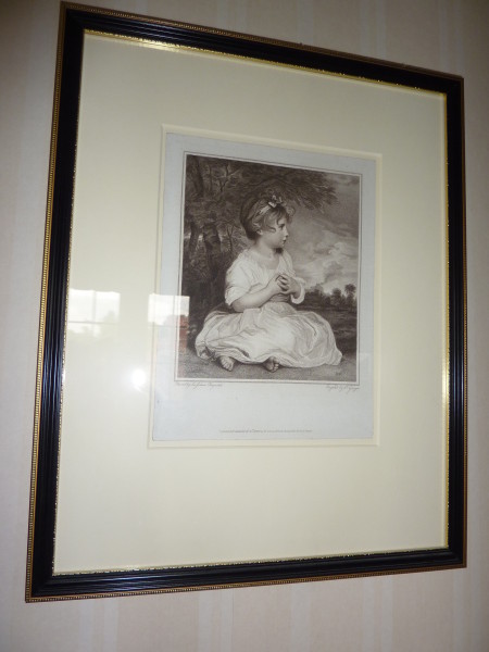 FDA-E.485-2013 image FDA-E.485-2013