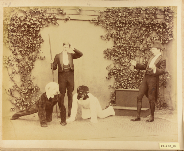 PA-A.87_78-2013 image PA-A.87_78-2013