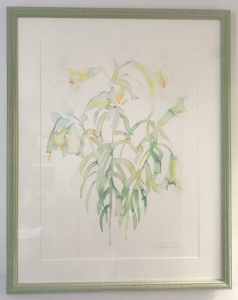 image FDA-D.1790-2026