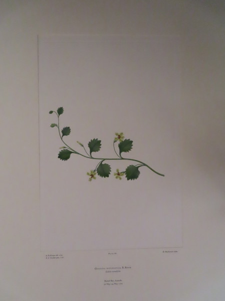 image FDA-E.2916_8_26-2016-A