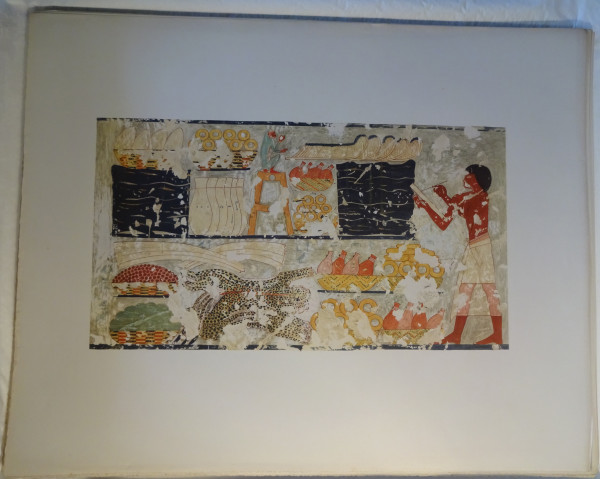 image FDA-E.3055_56-2018