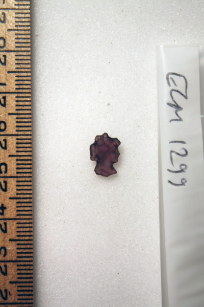 ECM.1299-2010-B image ECM.1299-2010-B