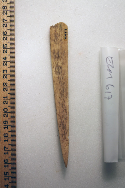 ECM.617-2010-B image ECM.617-2010-B