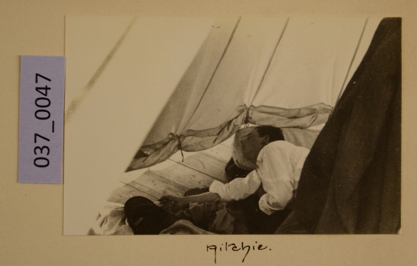 PA-A.37_47-2012 image PA-A.37_47-2012