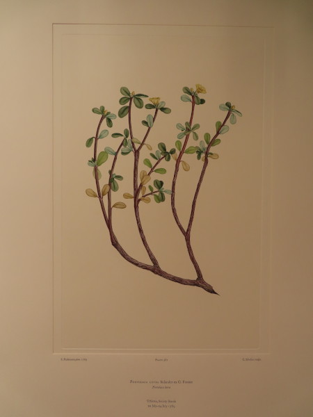 image FDA-E.2916_28_6-2016