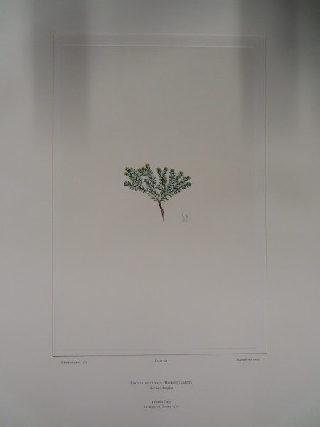 image FDA-E.2916_33_12-2016