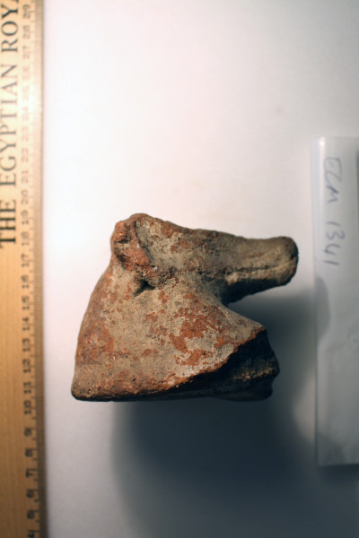 ECM.1341-2010-B image ECM.1341-2010-B