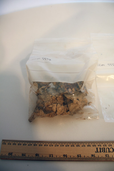 ECM.5554-2017-B image ECM.5554-2017-B