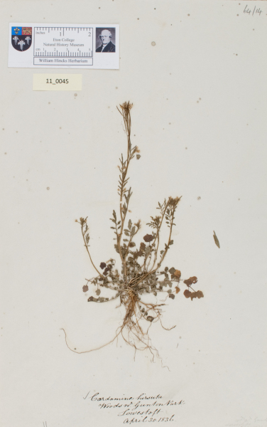 NHM_HH_11.45-2010 image NHM_HH_11.45-2010