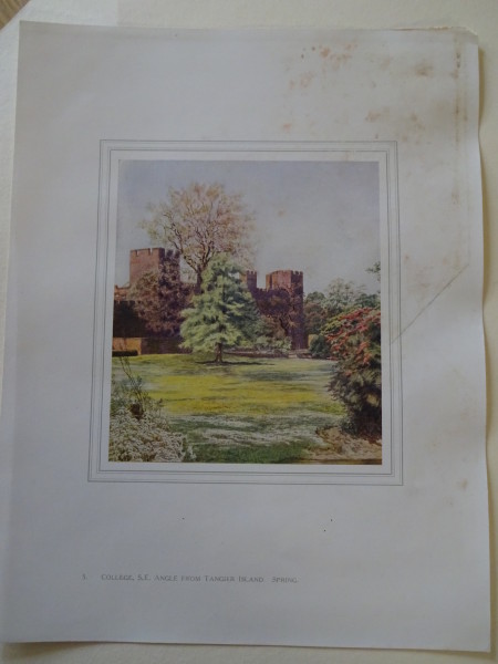 FDA-E.2833_5-2016 image FDA-E.2833_5-2016